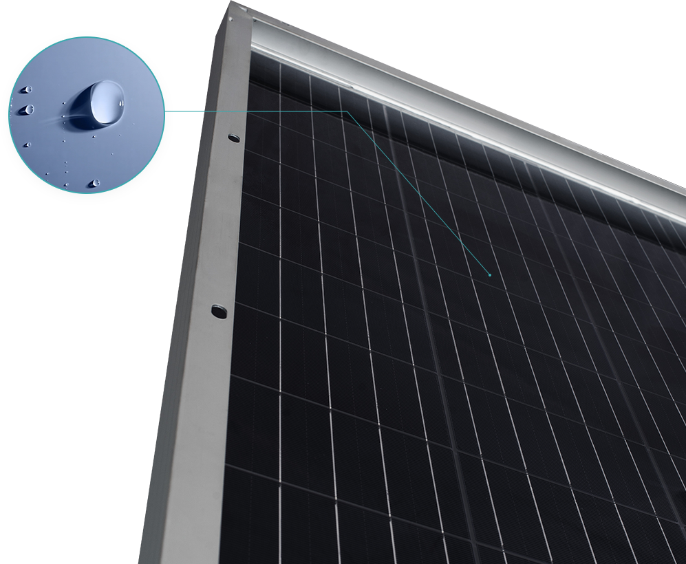 俄罗斯专享会294(中国游)官方网站